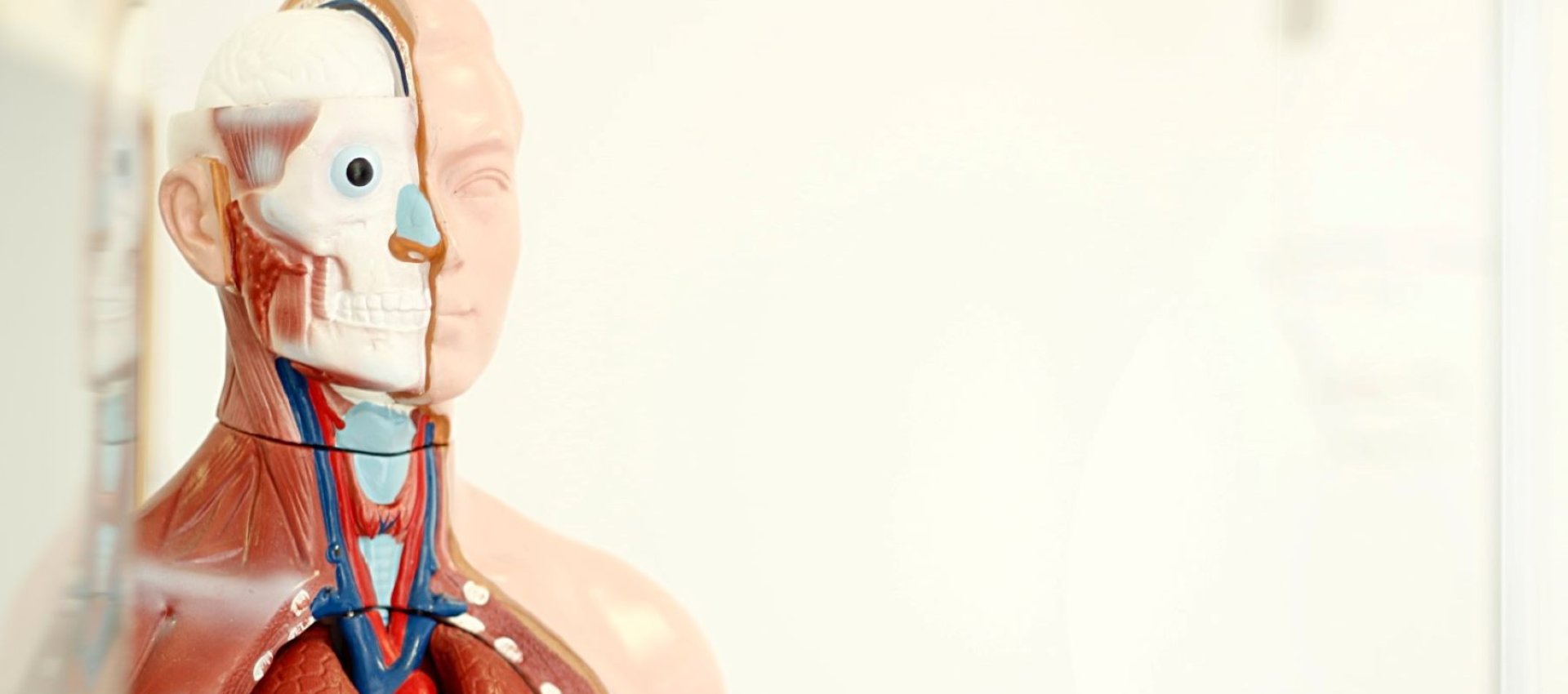 Praxis Verena Frisch